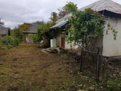 ��������� ������� ���. �. �������������, 27, ���������, ������������, �����-���������� ���� 1