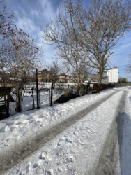 ��������� ������� �����-���������, �����-����������, ��������� ���� 4