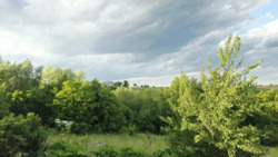 ��������� ������� �����������, 47, �������, ���������������, �����-���������� ���� 19