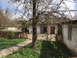 ��������� ������� ϳ�������, �����-��������� ����, �����-���������� ���� 2