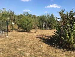 Продається будинок Павлівка, Тисменецький, Івано-Франківська фото 1 Продається будинок Павлівка, Тисменецький, Івано-Франківська фото 1