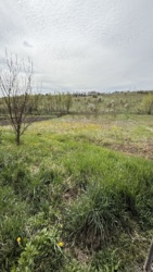 Продається будинок Горб, 13, Палагичі, Тлумацький, Івано-Франківська фото 4 Продається будинок Горб, 13, Палагичі, Тлумацький, Івано-Франківська фото 4