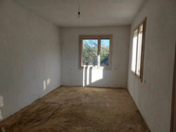 ��������� ������� ������, 40�, ������, ������������, �����-���������� ���� 7