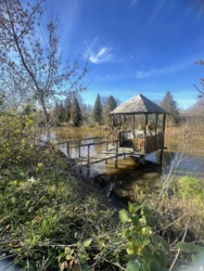 Продається будинок Івано-Франківська, Тлумацький, Тлумач фото 8 Продається будинок Івано-Франківська, Тлумацький, Тлумач фото 8