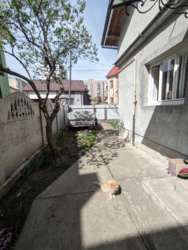 ������ ������� � ��������� ������� �-� �������� ���� 15