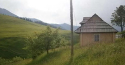 Продається будинок Кривопілля, Верховинський, Івано-Франківська фото 6 Продається будинок Кривопілля, Верховинський, Івано-Франківська фото 6