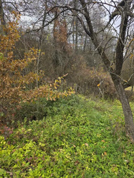 Продається будинок Підгірря, Богородчанський, Івано-Франківська фото 5 Продається будинок Підгірря, Богородчанський, Івано-Франківська фото 5