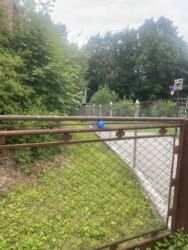 ��������� ������� �������, ������������, �����-���������� ���� 9