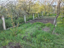 ��������� ������� ϳ������, �����-��������� ����, �����-���������� ���� 8