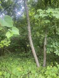 ��������� ������� �������, ������������, �����-���������� ���� 4