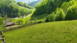 ��������� ������� �������, �����-���������� ���� 4