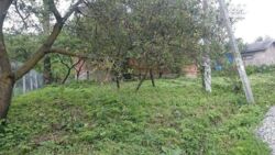 ��������� ������� ����������, ������������, �����-���������� ���� 4