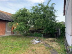 ��������� ������� ϳ����������, ������������, �����-���������� ���� 6