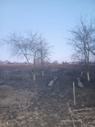 ��������� ������� ��'����, 2, �������, ����������, �����-���������� ���� 6