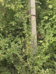 ��������� ������� �������, ������������, �����-���������� ���� 8