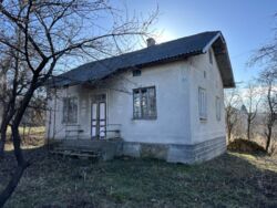 ��������� ������� �������, ������������, �����-���������� ���� 2