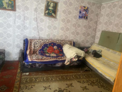 ��������� ������� ����, 15, ���������, ��������������, �����-���������� ���� 8