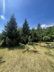 Продається будинок Незалежності, Підгірря, Богородчанський, Івано-Франківська фото 15 Продається будинок Незалежності, Підгірря, Богородчанський, Івано-Франківська фото 15