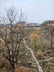 ��������� ������� �����-����������, �����-��������� ����, �������, ��������� ���� 10