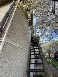 Продається будинок Липова, 51, Загвіздя, Івано-Франківські села, Івано-Франківська фото 9 Продається будинок Липова, 51, Загвіздя, Івано-Франківські села, Івано-Франківська фото 9