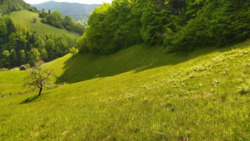 ��������� ������� �������, �����-���������� ���� 11