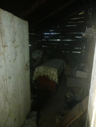 ��������� ������� ����-�������, ���������, �����-���������� ���� 11