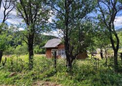 Продається будинок Шевченка, Підлісся, Рожнятівський, Івано-Франківська фото 4 Продається будинок Шевченка, Підлісся, Рожнятівський, Івано-Франківська фото 4