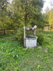 ��������� ������� �������, ���������������, �����-���������� ���� 21