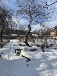 ��������� ������� �����-���������, �����-����������, ��������� ���� 8