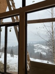 ��������� ������� ���������, �������������, �����-���������� ���� 20