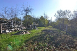 ��������� ������� ϳ������, �����-��������� ����, �����-���������� ���� 5