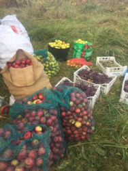 ��������� ������� ����������, ���������������, �����-���������� ���� 16