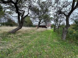 ��������� ������� �������, ������������, �����-���������� ���� 5