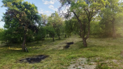 ��������� ������� �����������, 47, �������, ���������������, �����-���������� ���� 15