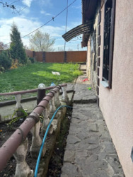 ��������� ������� ��������, 3, ���'����, ���������, �����-���������� ���� 3