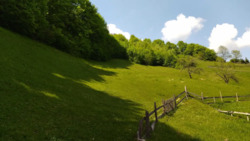 ��������� ������� �������, �����-���������� ���� 17