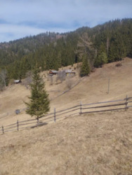 ��������� ������� ������� �����, ������� ������, �������������, �����-���������� ���� 13