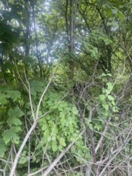 ��������� ������� �������, ������������, �����-���������� ���� 5