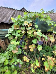 Будинок 140 мкв+50 сот землі. фото 21 Будинок 140 мкв+50 сот землі. фото 21