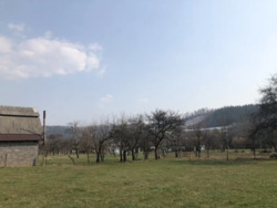 ��������� ������� ������, ���������, �����-���������� ���� 15