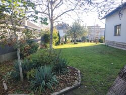 ��������� ������� к���, �������, ������������, �����-���������� ���� 4