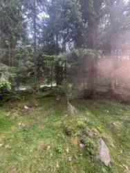 ��������� ������� ��������, �������������, �����-���������� ���� 6