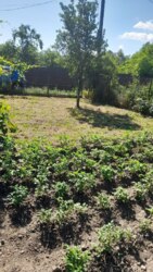 ��������� ������� �����-����������, �����-��������� ����, ��������� ���� 2