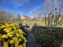 Продається будинок Івано-Франківська, Тлумацький, Тлумач фото 11 Продається будинок Івано-Франківська, Тлумацький, Тлумач фото 11