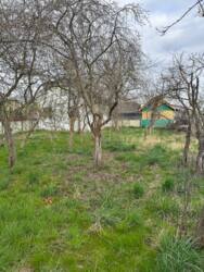 ��������� ������� ѳ����� ��������, ���� ���������, ������������, �����-���������� ���� 16