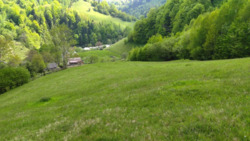 ��������� ������� �������, �����-���������� ���� 6