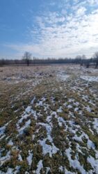 ��������� ������� �����, ������������, �����-���������� ���� 11