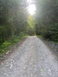 ��������� ������� ��������, �������������, �����-���������� ���� 7