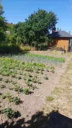 ��������� ������� �����-����������, �����-��������� ����, ��������� ���� 13