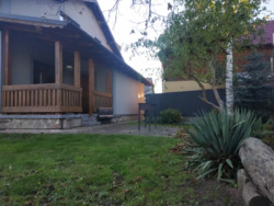 ��������� ������� к���, �������, ������������, �����-���������� ���� 3